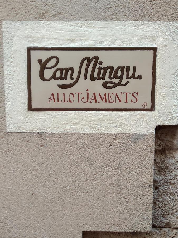 Apartament Can Mingu 2On Pis Besalú Esterno foto